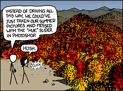 He is saying that since they already had photos of the same location taken in the summer when the leaves on the trees were presumably green, they could have simply adjusted the colors of the leaves in those same photos to orange, yellow, and red in photo editing computer software instead of driving back and taking new photos.
It is a commentary on how some people would rather simulate enjoyable events in their life with technology rather than going outside and experiencing things like the beauty of nature. The female understands this.
Note: the author feels that women are superior to men.