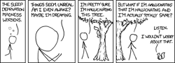 The Author saw the film Inception and it confused him. He decided to make a comic strip about himself and a squirrel as most visual learners tend to do when frustrated.