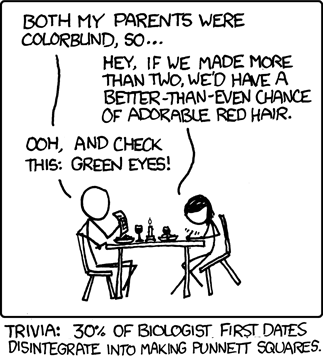 The author learned about or was reminded of Punnett squares, either from a biology student friend or Wikipedia, and decided to make a humorous comic strip on the subject. The format he eventually landed on was of the &#8220;improbable human interaction&#8221; variety, wherein the humor is derived from two-to-three people doing or saying something unrealistic.
This particular interaction involves two biologists on a first date who find themselves creating Punnett squares in order to determine the genetic traits of any children they would have if they were to mate. This is funny because you would not expect two adults on a first date to discuss having children, especially in such a clinical fashion.
Trivia: 97% of sex can be made more comfortable for geeks to discuss in the context of a science-related joke.